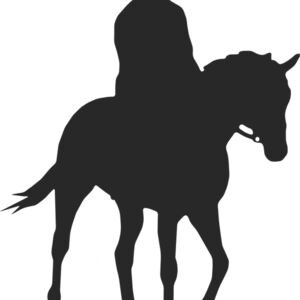 Horseback Silhouette 22 Thumbnail