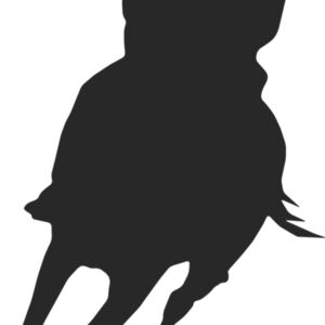 Horseback Silhouette 5 Thumbnail