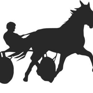 Horseback Silhouette 27 Thumbnail