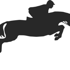 Horseback Silhouette 32 Thumbnail