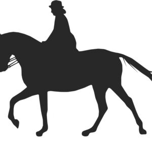 Horseback Silhouette 34 Thumbnail