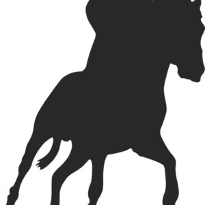 Horseback Silhouette 11 Thumbnail