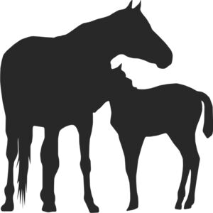 Two Horses Silhouette Thumbnail