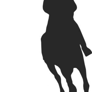 Horseback Silhouette 26 Thumbnail