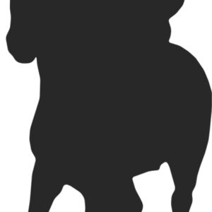 Horseback Silhouette 4 Thumbnail