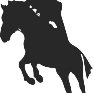 Horseback Silhouette 10 Thumbnail