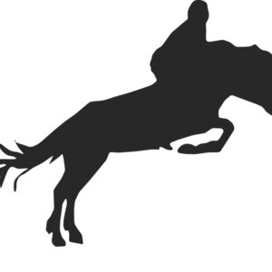 Horseback Silhouette 29 Thumbnail