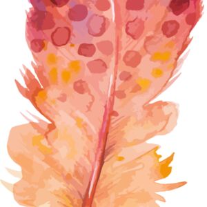 Feather1 Thumbnail