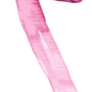 Ribbon2 Thumbnail