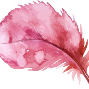 Feather2 Thumbnail