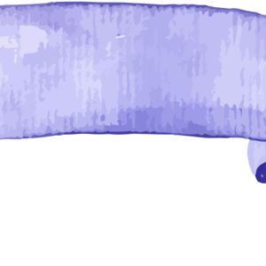 Ribbon5 Thumbnail