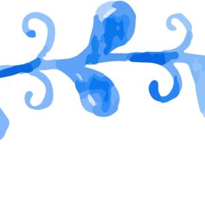 Vine1 Thumbnail