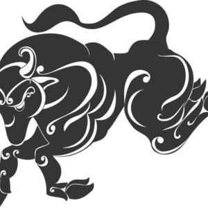 Taurus Bull Thumbnail