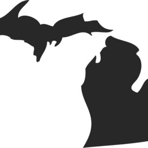 Michigan Silhouette Thumbnail