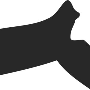 Massachusetts Silhouette Thumbnail