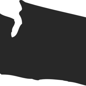 Washington Silhouette Thumbnail