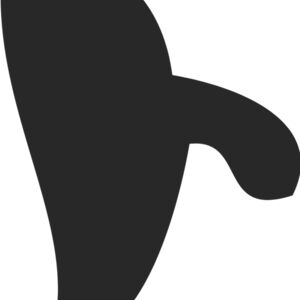 Rhode Island Silhouette Thumbnail