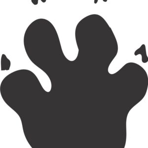 Fox Paw Print 2 Thumbnail