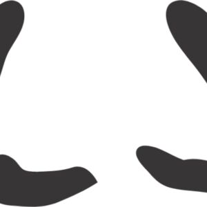 Bird Footprint 5 Thumbnail