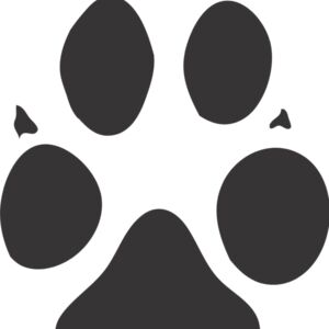 Wolf Paw Print 1 Thumbnail