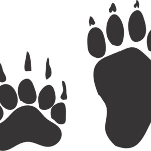 Badger Paw Print 1 Thumbnail