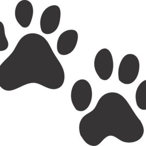 Tiger Cat Paw Print 1 Thumbnail