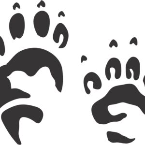 Porcupine Paw Print 1 Thumbnail