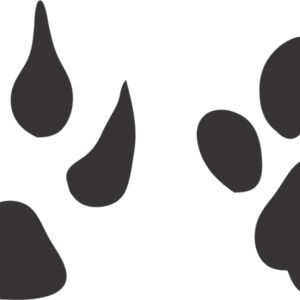 Dog Paw Print 2 Thumbnail