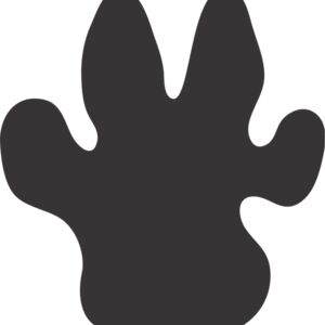 Cat Paw Print 1 Thumbnail