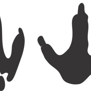 Bird Footprint 1 Thumbnail