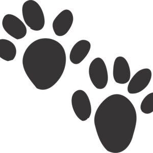 Otter Paw Print 1 Thumbnail