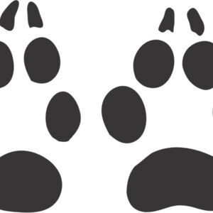 Fox Paw Print 4 Thumbnail