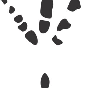 Bird Footprint 6 Thumbnail
