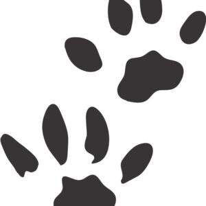 Wild Cat Paw Print 1 Thumbnail
