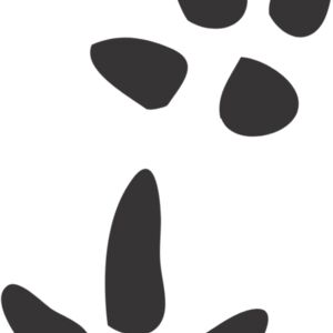 Bird Footprint 3 Thumbnail