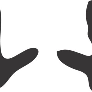 Bird Footprint 4 Thumbnail