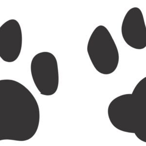 Wild Cat Paw Print 2 Thumbnail
