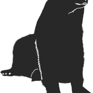 Bear SIlhouette 8 Thumbnail