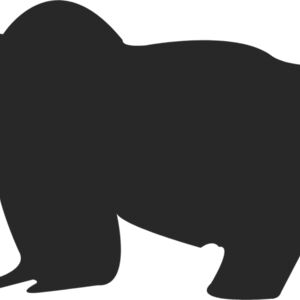Bear Silhouette 15 Thumbnail