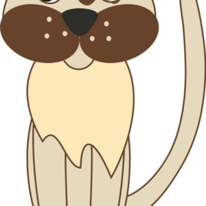 Cat 1 Thumbnail