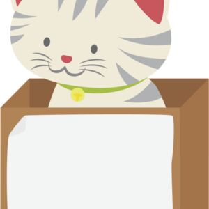 Cat in Box Frame 4 Thumbnail