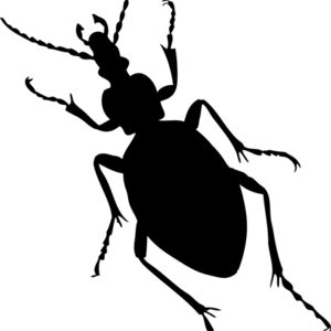 Bug Silhouette 3 Thumbnail