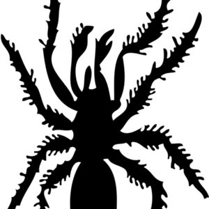 Spider Silhouette 5 Thumbnail