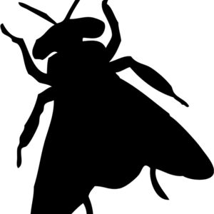 Fly Silhouette 5 Thumbnail