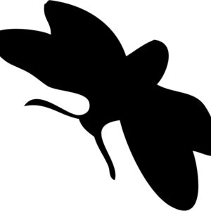 Moth Silhouette 8 Thumbnail