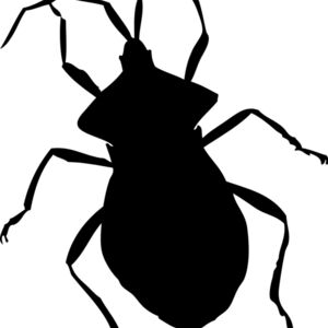 Bug Silhouette 15 Thumbnail