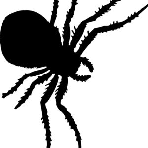 Spider Silhouette 7 Thumbnail