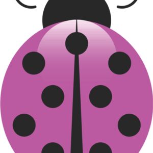 Purple Ladybug 4 Thumbnail
