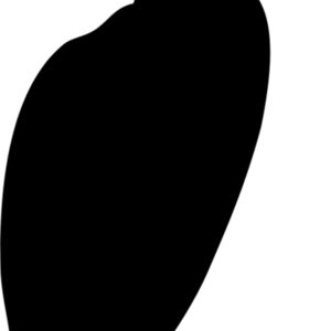 Snail Silhouette 5 Thumbnail