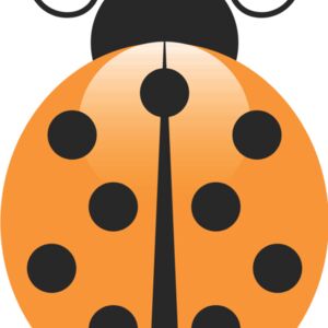Orange Ladybug 1 Thumbnail